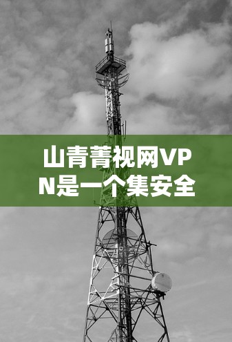 山青菁视网VPN是一个集安全性和灵活性于一身的VPN软件,适合有一定网络安全需求的用户。以下是一步步的使用指导 山青菁视网VPN是一个集安全性和灵活性于一身的VPN软件,适合有一定网络安全需求的用户。以下是一步步的使用指导