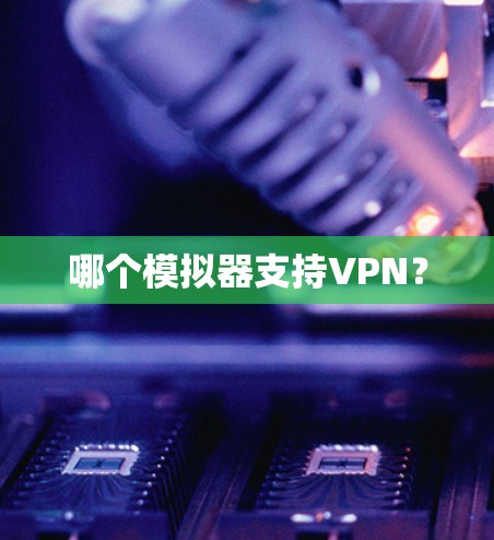 哪个模拟器支持VPN？