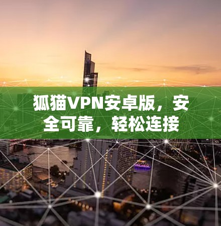 狐猫VPN安卓版，安全可靠，轻松连接