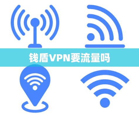 钱盾VPN要流量吗 钱盾VPN要流量吗