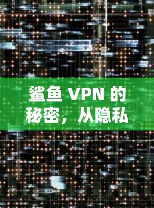 鲨鱼 VPN 的秘密,从隐私到安全的双重守护 鲨鱼 VPN 的秘密,从隐私到安全的双重守护