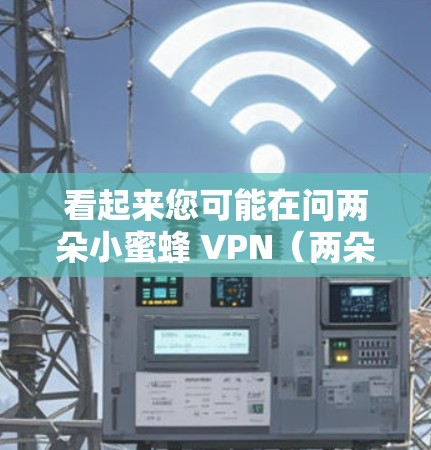 看起来您可能在问两朵小蜜蜂 VPN（两朵小蜜蜂VPN）或者两朵小蜜蜂 VP（两朵小蜜蜂价值）以下是一些可能的解释