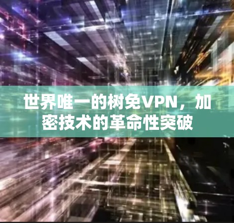 世界唯一的树免VPN，加密技术的革命性突破