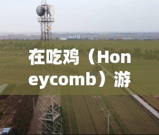 在吃鸡（Honeycomb）游戏中，VPN并不是一个直接的功能或选项。该游戏是一个策略性吃鸡游戏，玩家需要在不同的路线之间移动，控制鸡群。游戏本身并没有内置VPN功能，因此无法直接使用VPN连接游戏