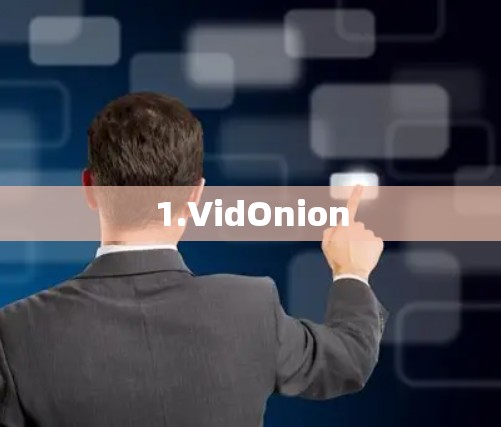 1.VidOnion 1.VidOnion
