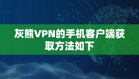 灰熊VPN的手机客户端获取方法如下