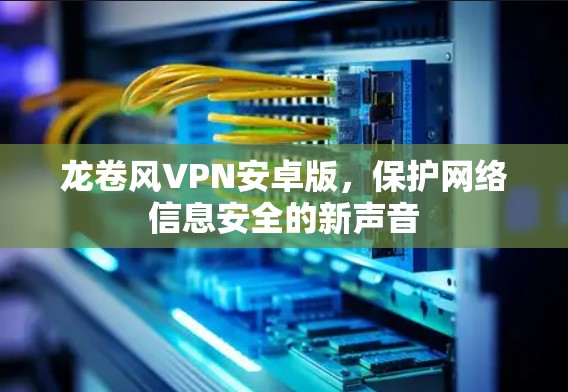 龙卷风VPN安卓版，保护网络信息安全的新声音