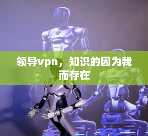 领导vpn,知识的因为我而存在