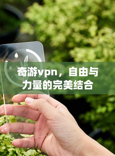 奇游vpn，自由与力量的完美结合