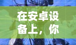 在安卓设备上,你可以使用以下方法快速切换到VPN应用