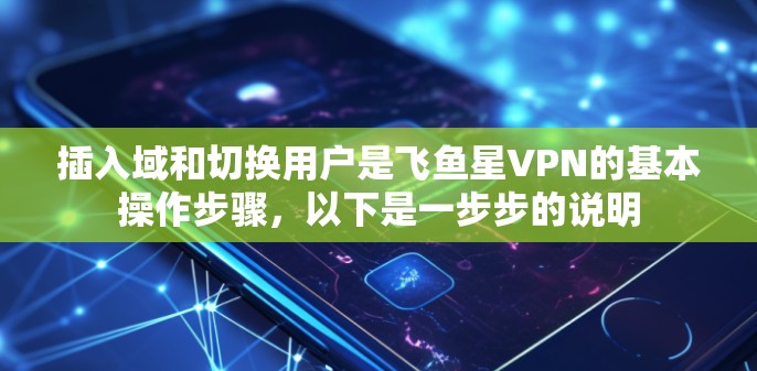 插入域和切换用户是飞鱼星VPN的基本操作步骤,以下是一步步的说明