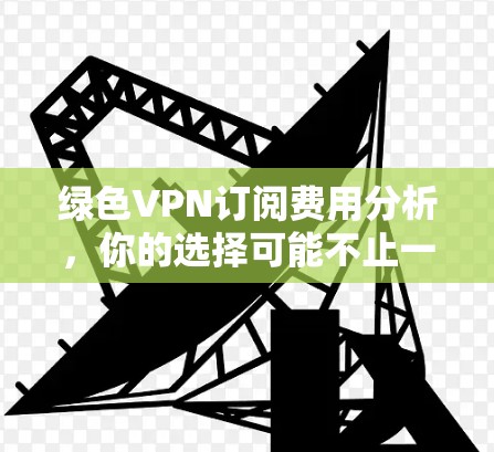 绿色VPN订阅费用分析,你的选择可能不止一个价格点