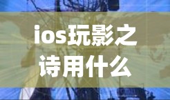 ios玩影之诗用什么VPN可能是指在ios系统中使用VPN(如Netcat、OpenVPN等)时使用的软件或工具。以下是一些可能的解释和步骤