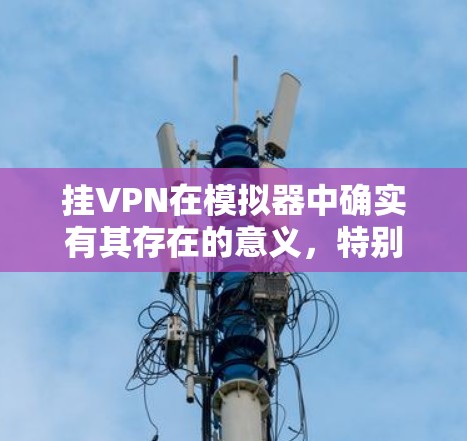 挂VPN在模拟器中确实有其存在的意义，特别是在以下几个方面