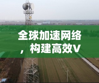 全球加速网络,构建高效VPN架构