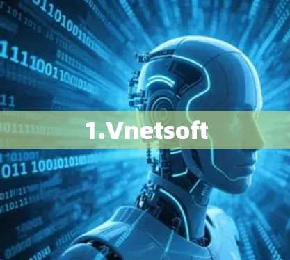 1.Vnetsoft