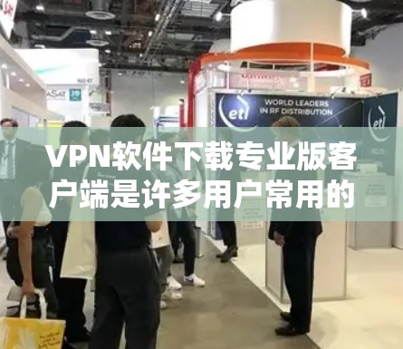 VPN软件下载专业版客户端是许多用户常用的工具,可以帮助他们安全地访问网络内容。以下是一些推荐的VPN软件,它们在专业版客户端中表现良好,适合快速安装和使用