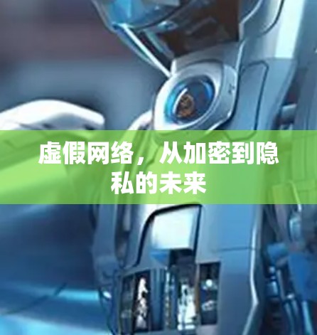 虚假网络，从加密到隐私的未来