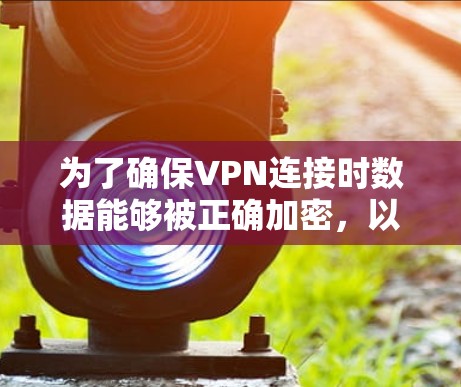 为了确保VPN连接时数据能够被正确加密，以下是一步步的检查和解决方法