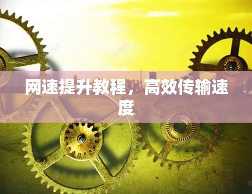 网速提升教程，高效传输速度