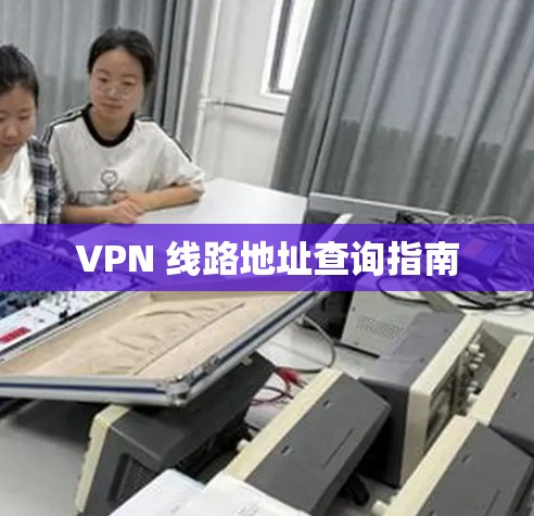 VPN 线路地址查询指南