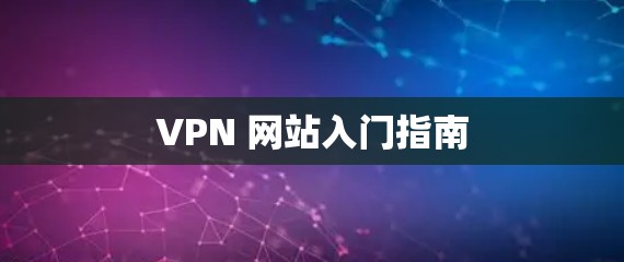 VPN 网站入门指南