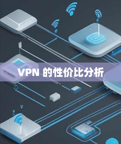 VPN 的性价比分析