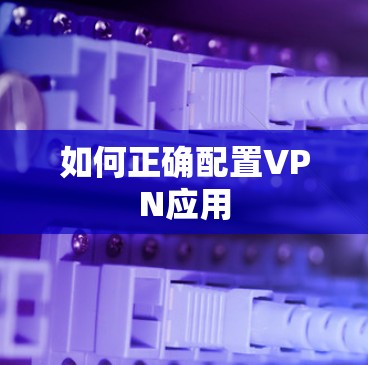 如何正确配置VPN应用