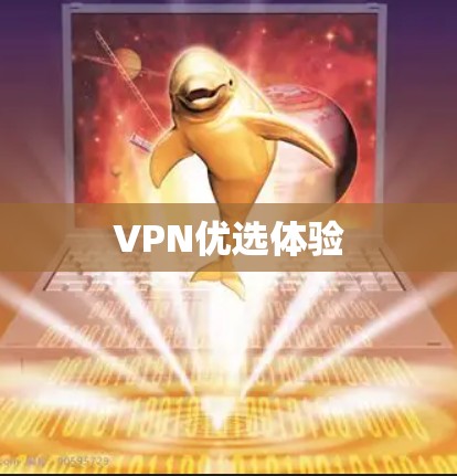 VPN优选体验