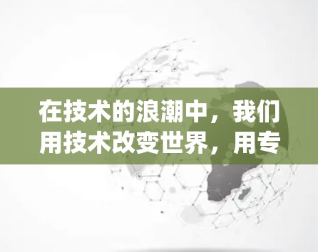 在技术的浪潮中,我们用技术改变世界,用专业服务助力远程访问,威胁 your 周围